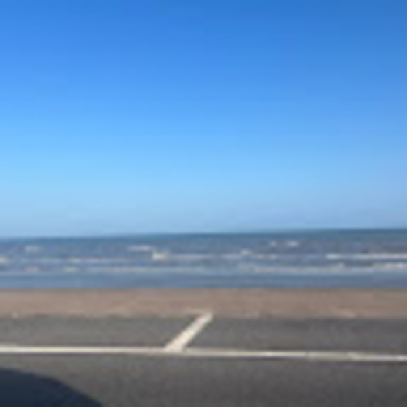 zmbiee